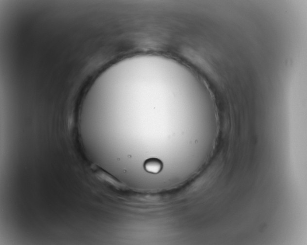 X0000089871261200707191932