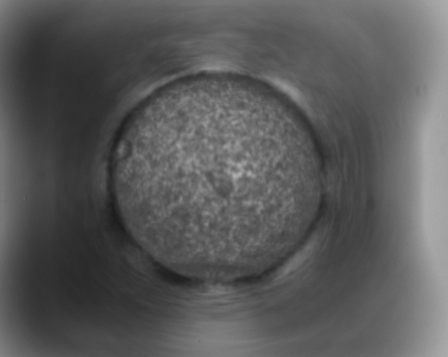 X0000089871263200707191932