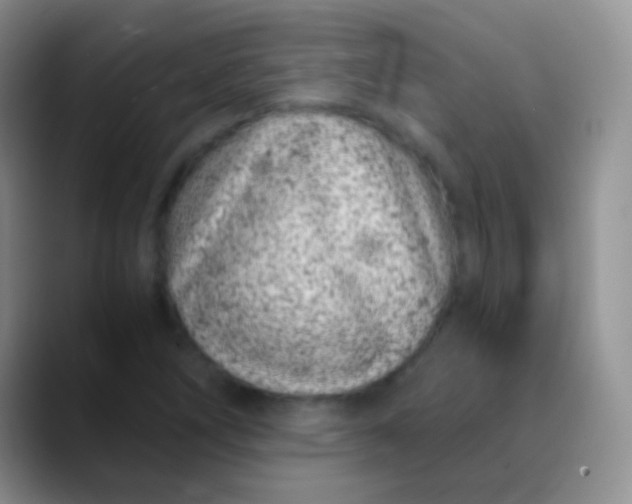 X0000089871266200707191932