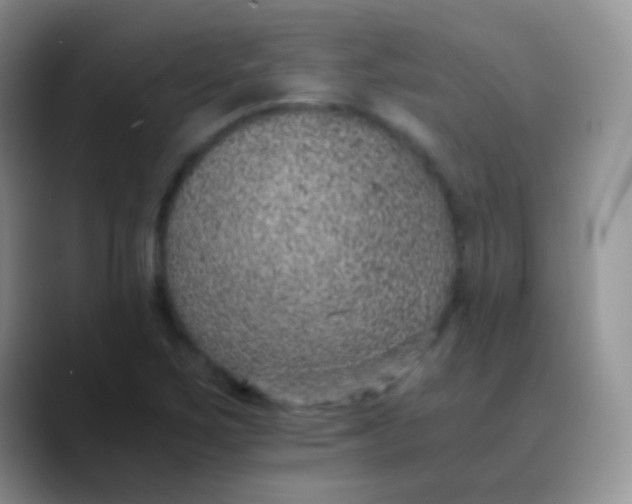 X0000089871267200707191932