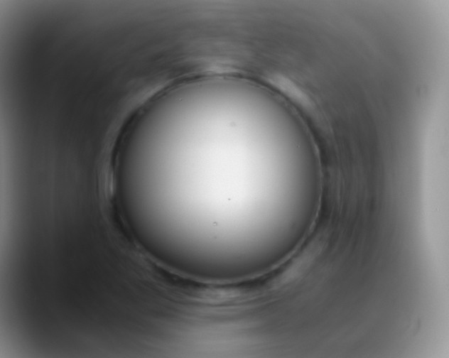 X0000089871269200707191932