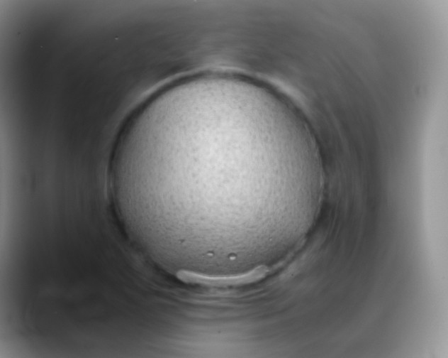 X0000089871271200707191932