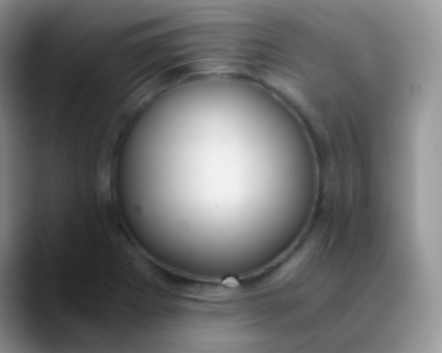 X0000089871273200707191932