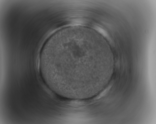 X0000089871275200707191932