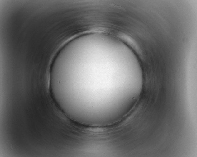 X0000089871276200707191932