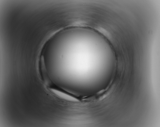 X0000089871277200707191932