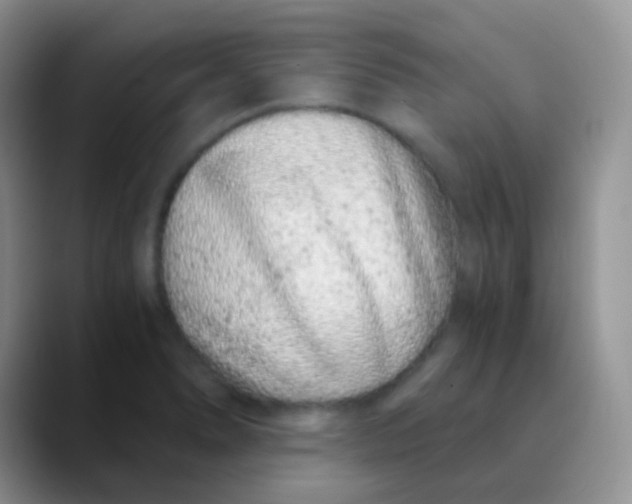 X0000089871278200707191932