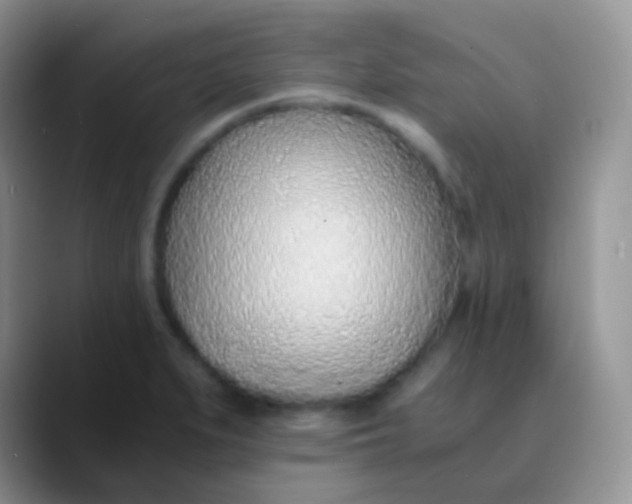 X0000089871279200707191932