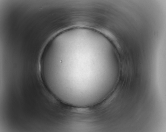 X0000089871280200707191932