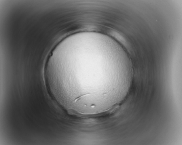 X0000089871283200707191932