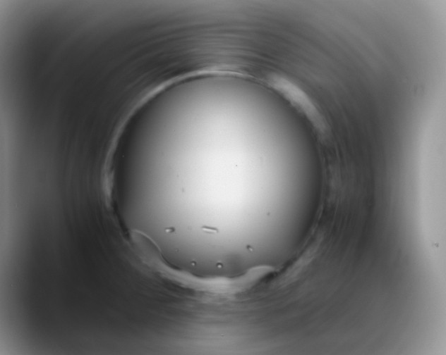 X0000089871284200707191932