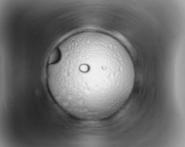 X0000089871287200707191932