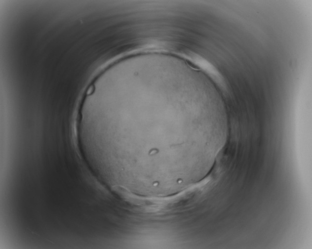 X0000089871288200707191932