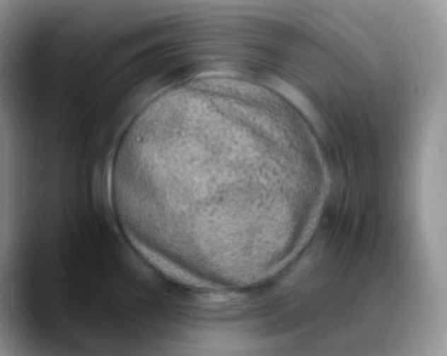 X0000089871290200707191932