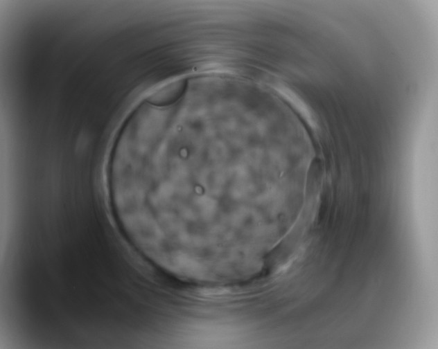 X0000089871291200707191932