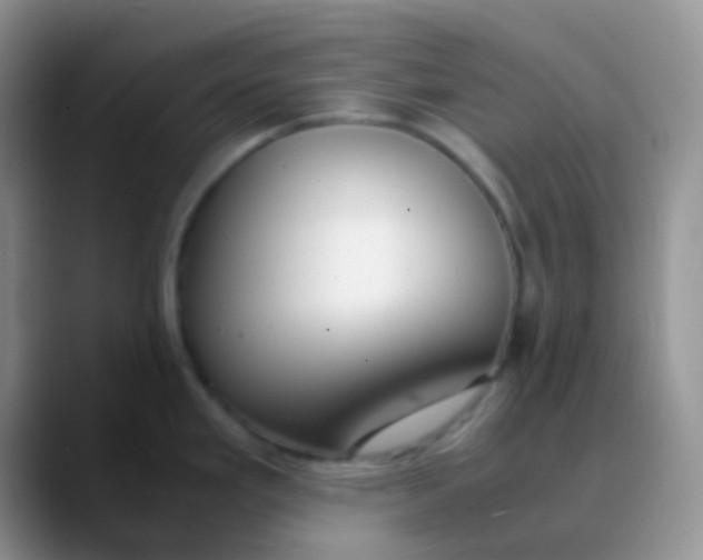 X0000089871293200707191932