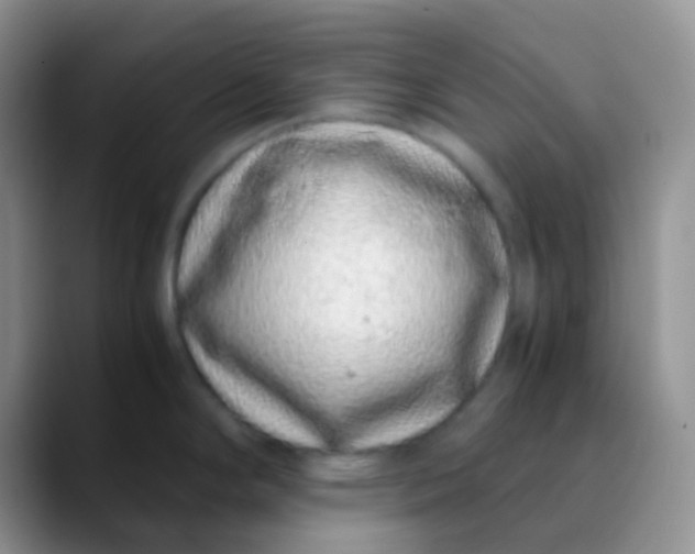 X0000089871294200707191931