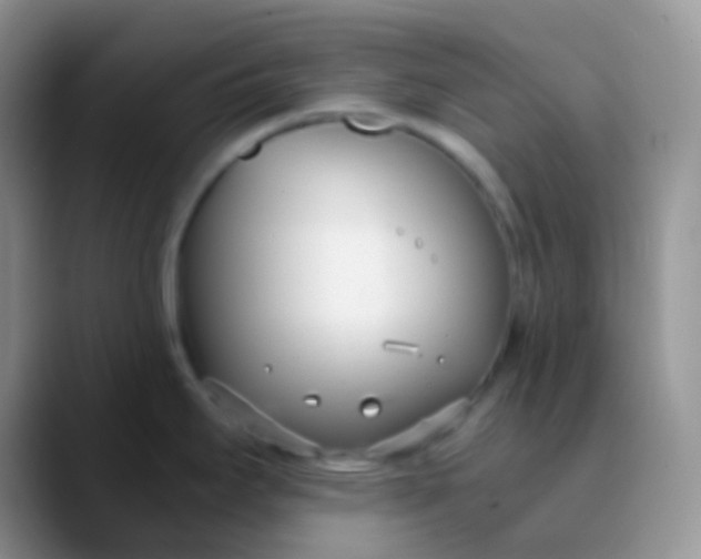 X0000089871295200707191931