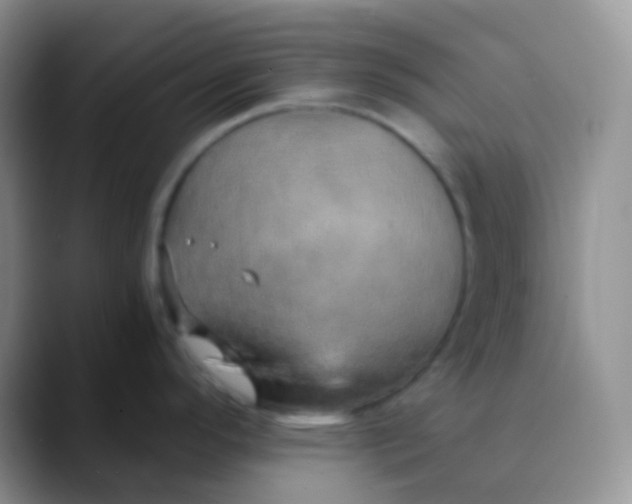 X0000089871296200707191931