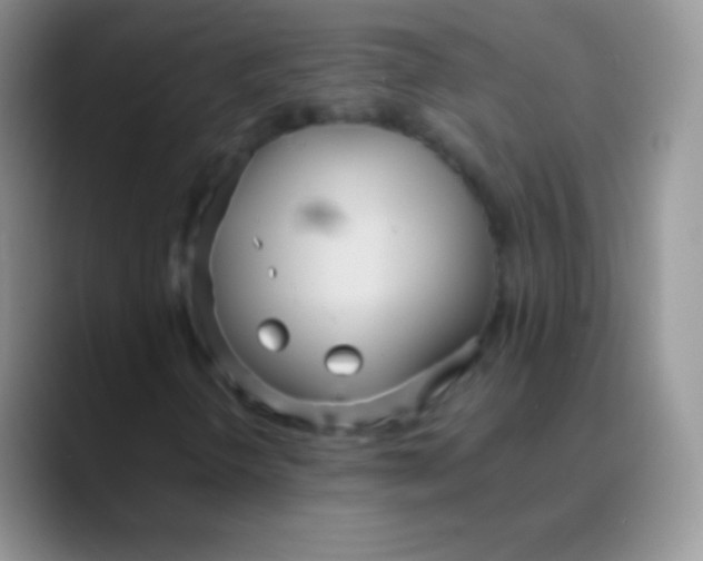 X0000089871298200707191931