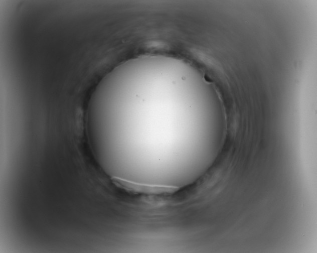 X0000089871301200707191931