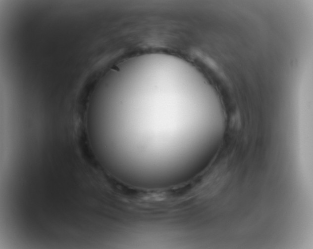 X0000089871303200707191931