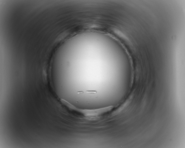 X0000089871305200707191931