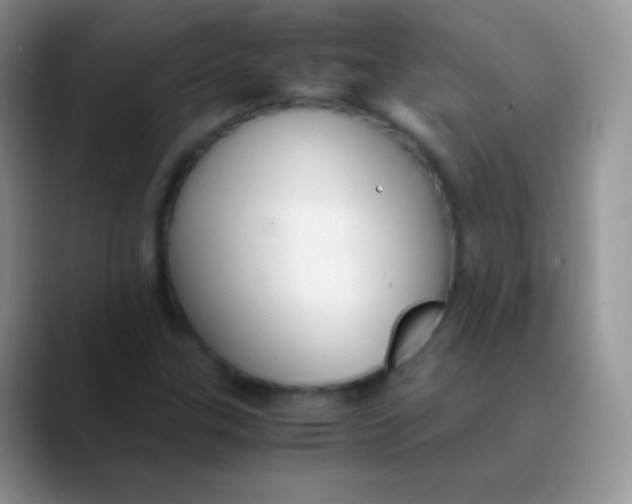 X0000089871307200707191931