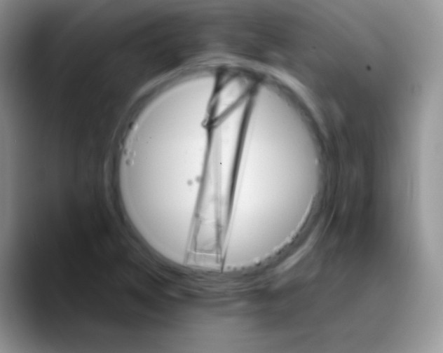 X0000089871314200707191931