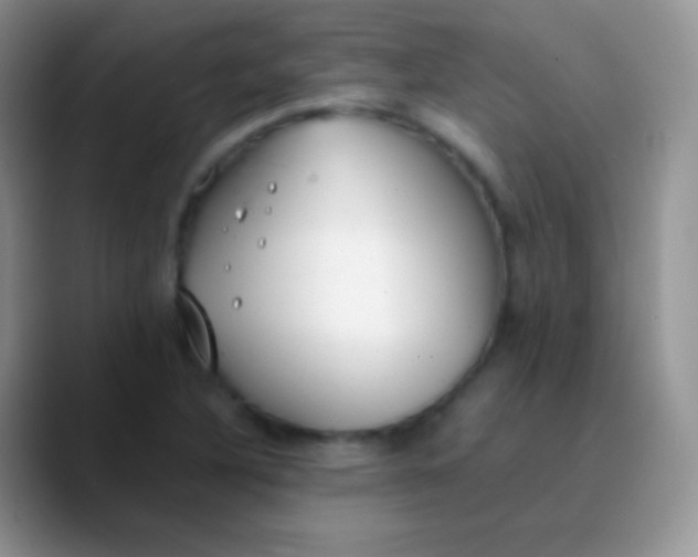 X0000089871316200707191931