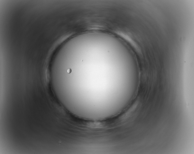 X0000089871317200707191931