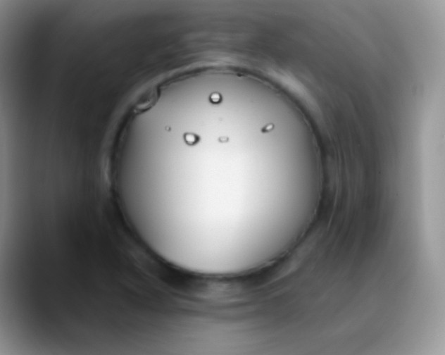 X0000089871318200707191931