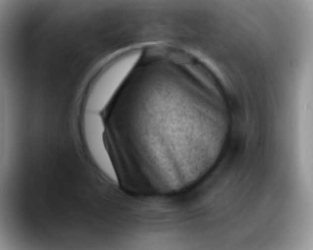 X0000089871319200707191931