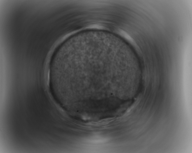 X0000089871323200707191931