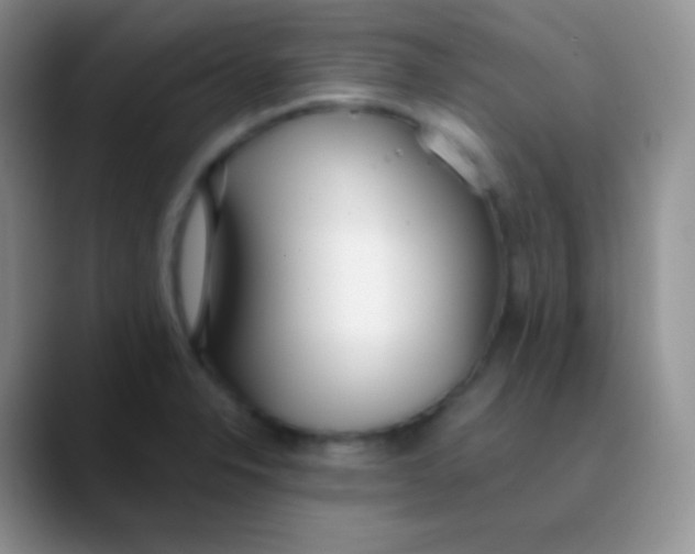 X0000089871326200707191931