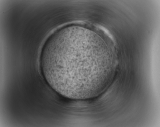 X0000089871327200707191931