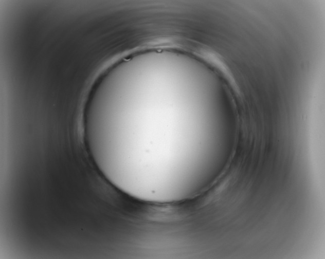 X0000089871328200707191931