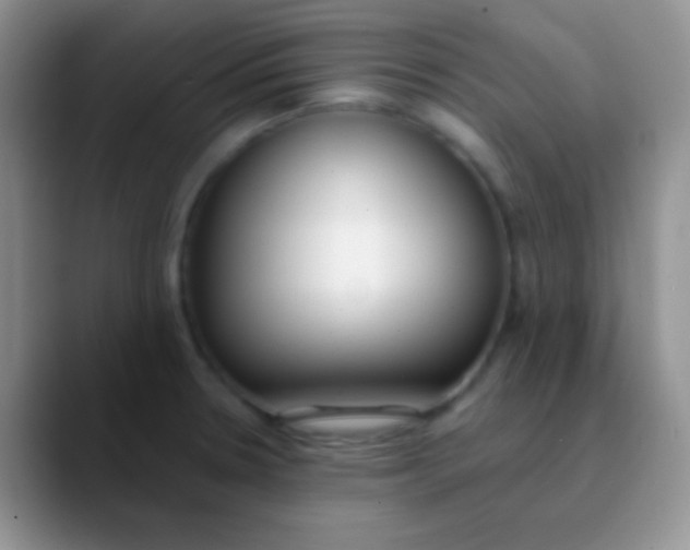 X0000089871330200707191931