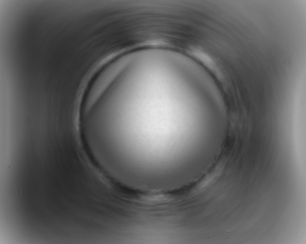 X0000089871331200707191931