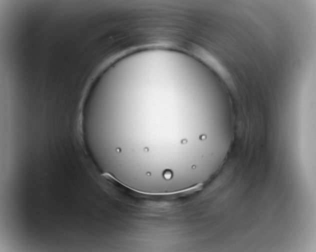 X0000089871332200707191931