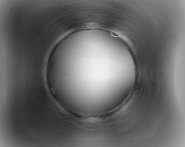 X0000089871333200707191931