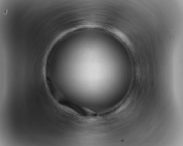 X0000089871334200707191931