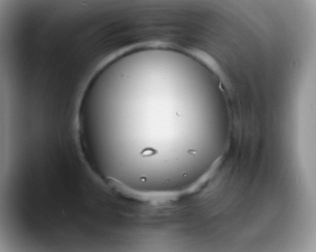 X0000089871335200707191931