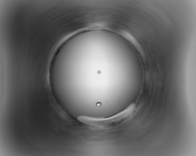 X0000089871336200707191931