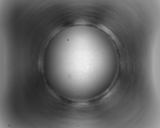 X0000089871337200707191931