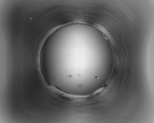 X0000089871339200707191931