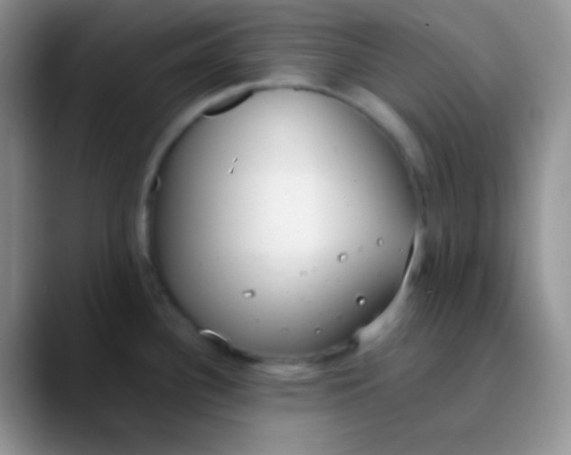 X0000089871340200707191931