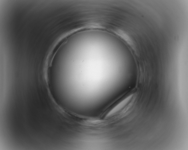 X0000089871342200707191931