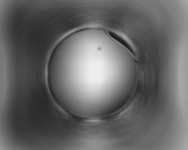 X0000089871343200707191931