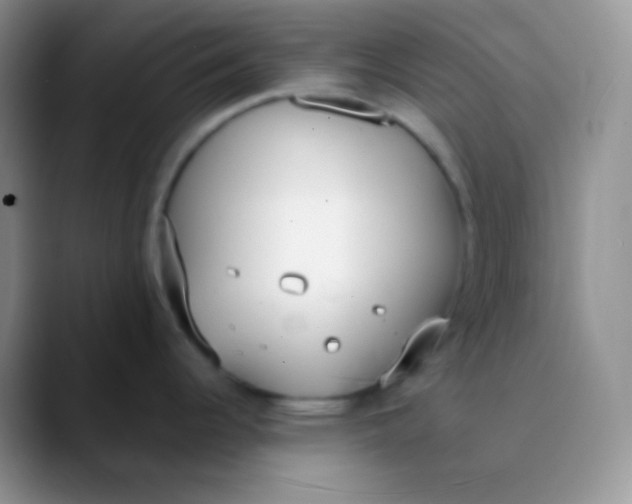 X0000089871344200707191931